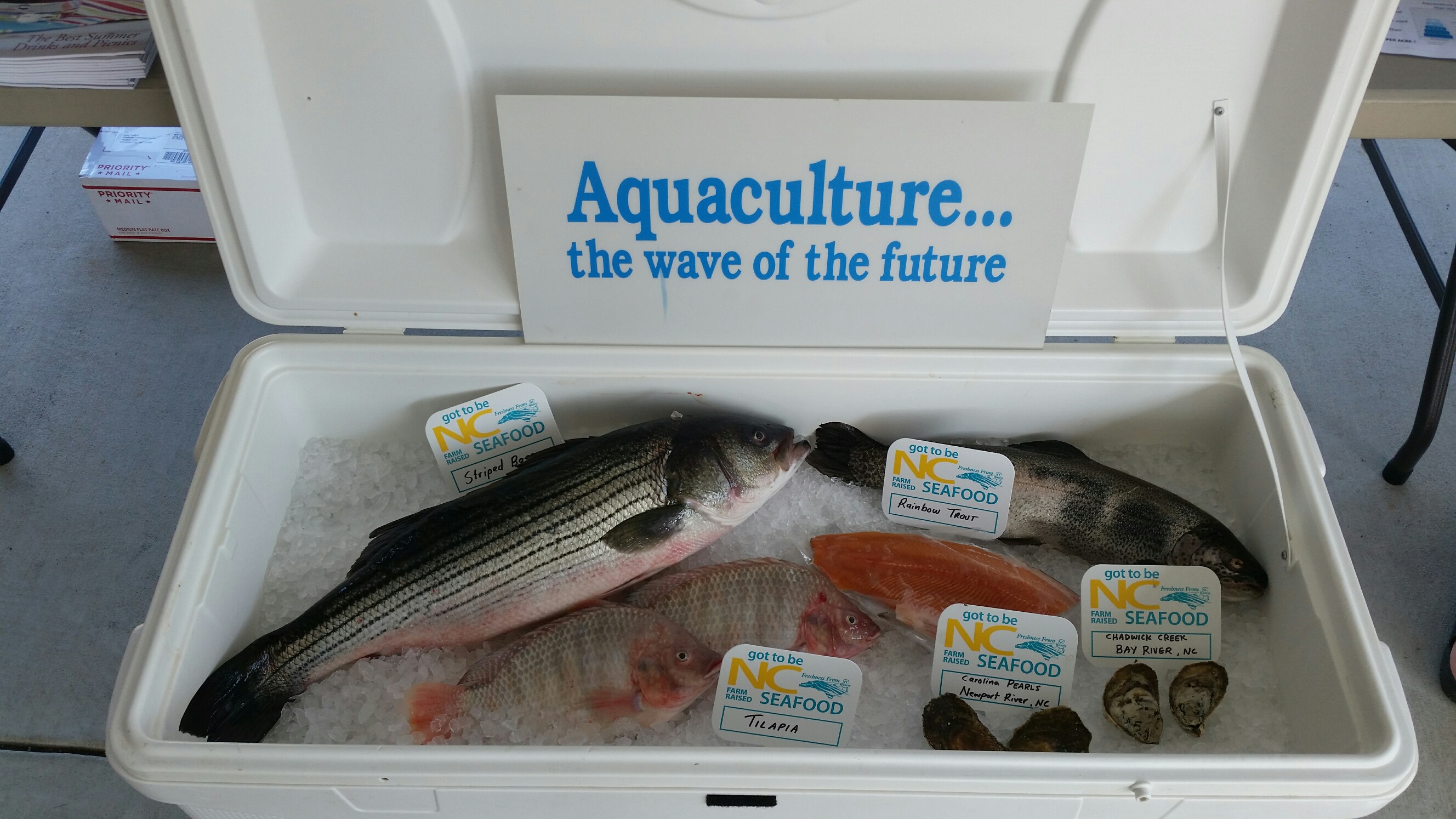 Cultured Seafood Festival in New Bern NC