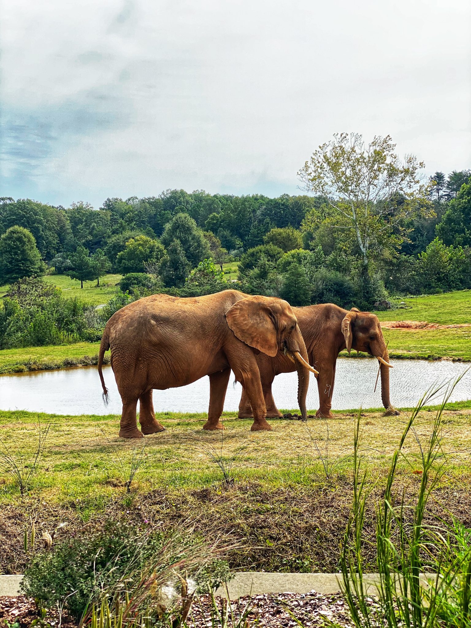 A Weekend in The Heart of North Carolina Randolph County