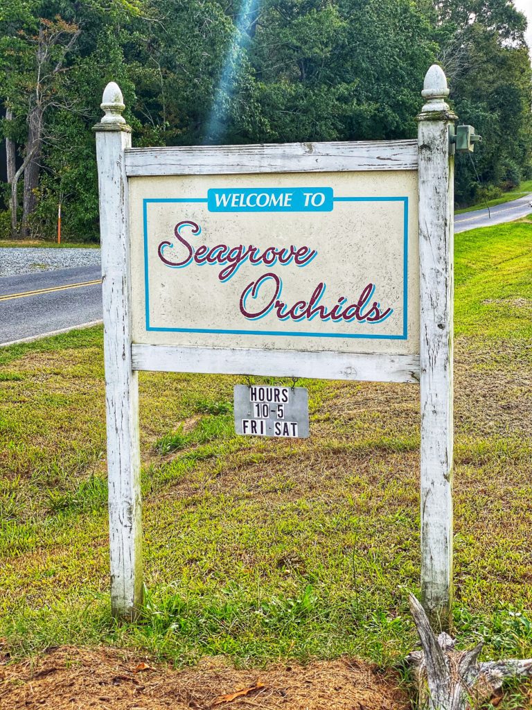 North Carolina Randolph County travel guide featured by top NC blogger, Food Diary of a City Girl.